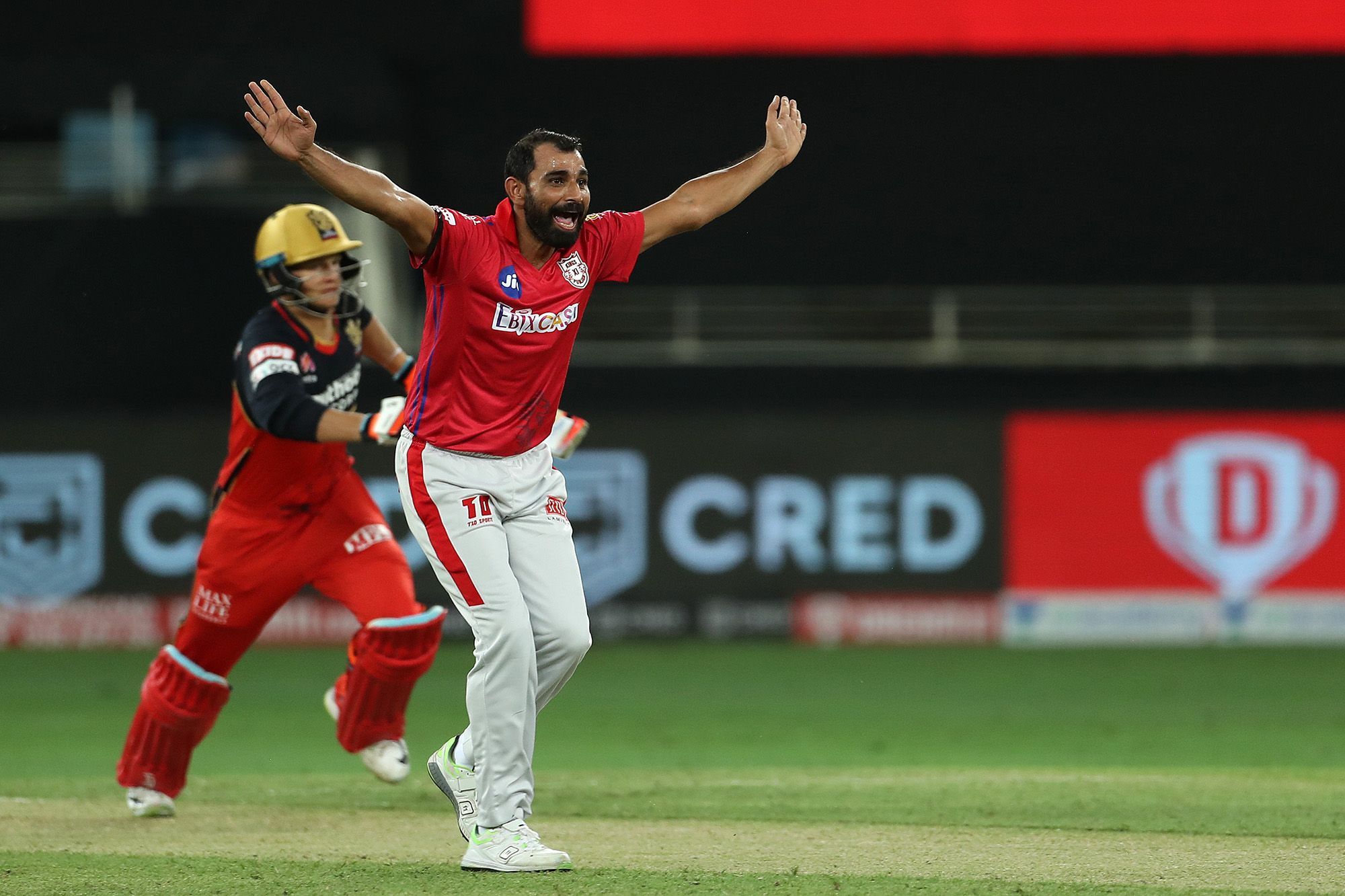 IPL 2021 | Fit Mohammed Shami good to go for IPL 2021, confirms Anil Kumble