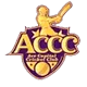 Ace Capital CC