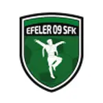 Efeler 09 Spor