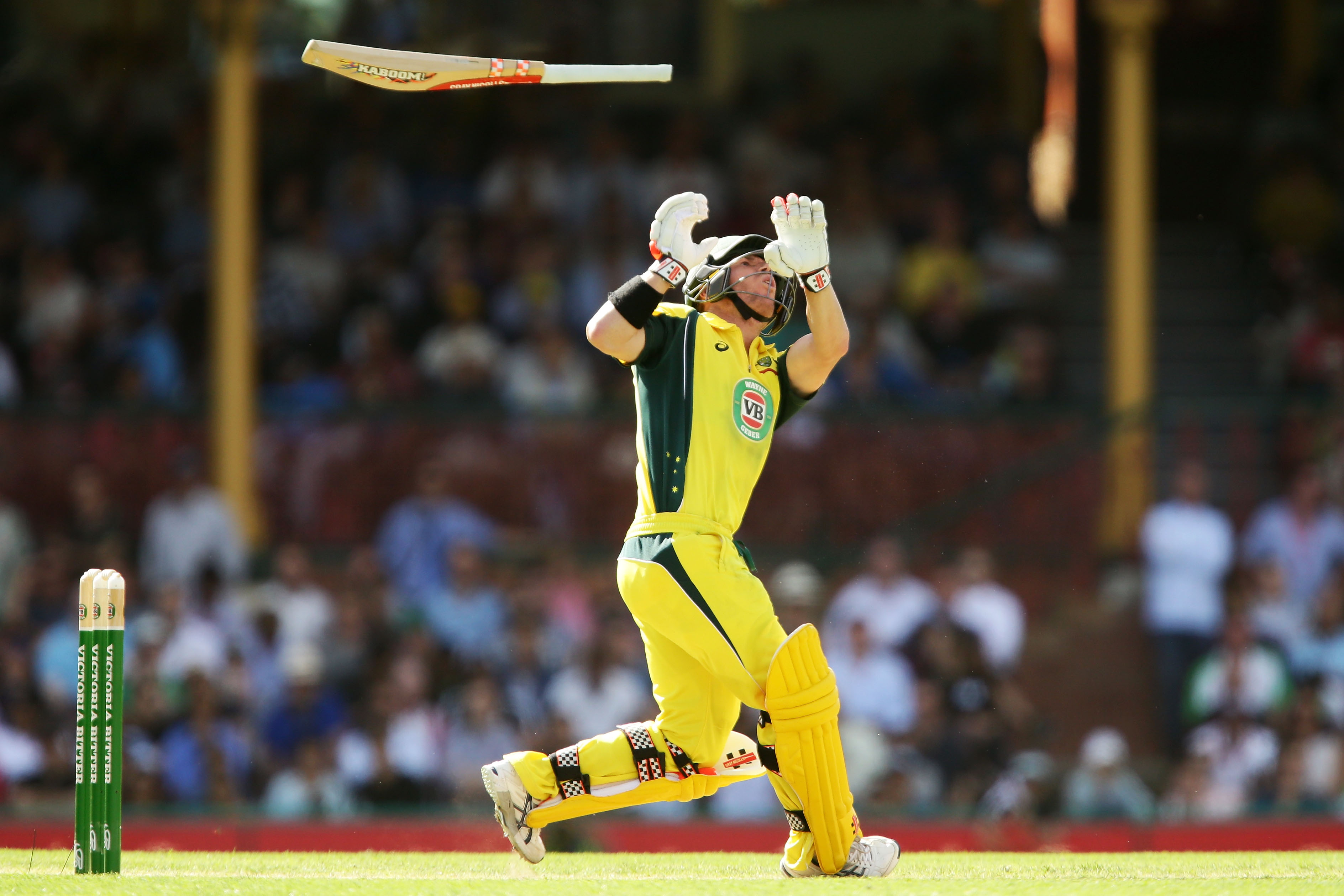 David Warner defends big bats and blames flat pitches for bowlers’ plight