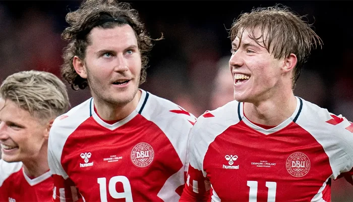 Denmark team players during an International match.