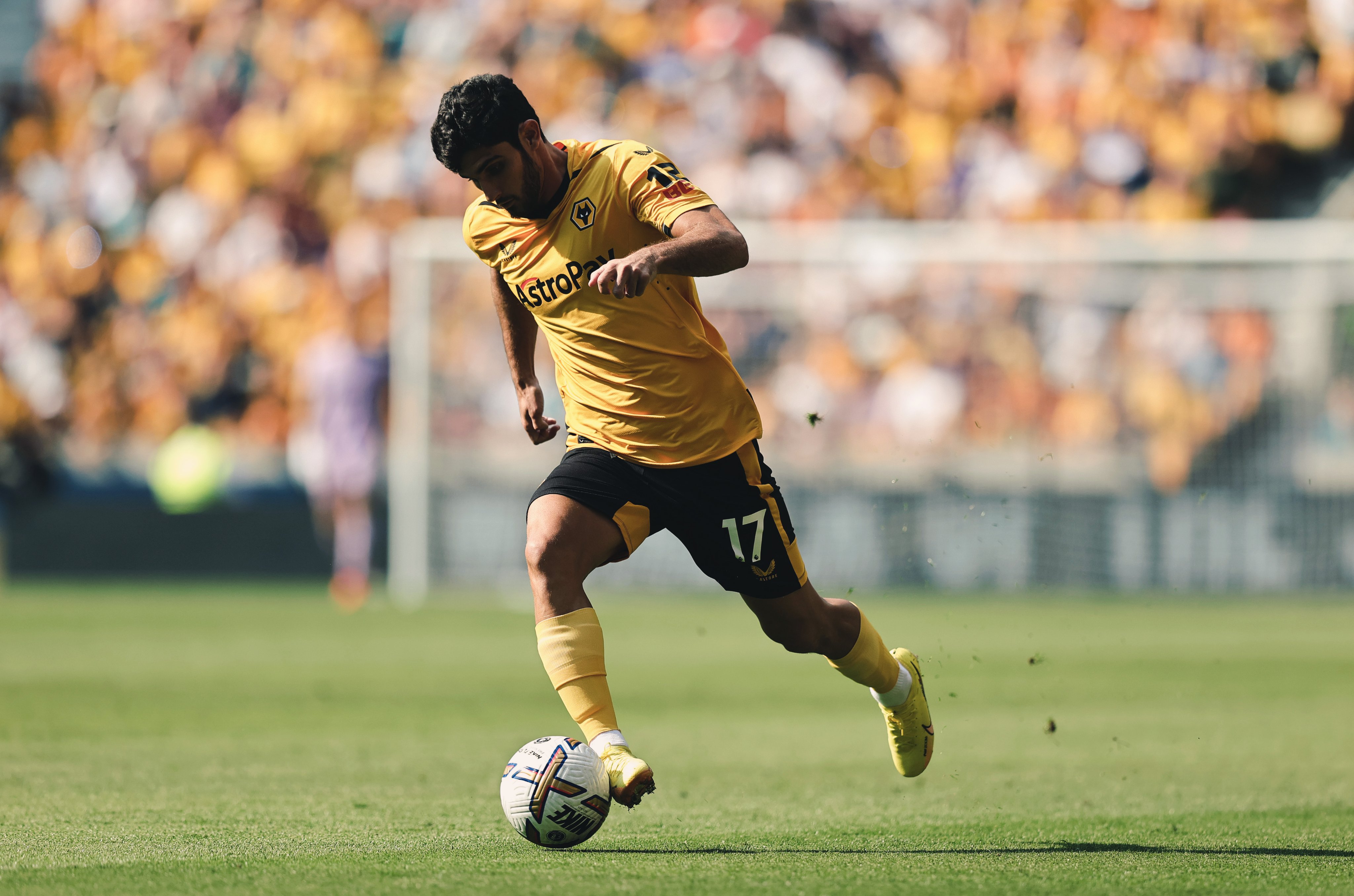 Think team deserves lot more than it has got because we have played well, proclaims Goncalo Guedes