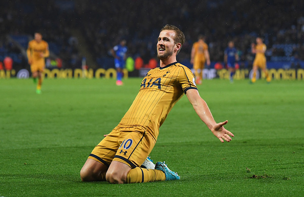 Harry Kane is at crossroads in his career with Tottenham, asserts Dimitar Berbatov